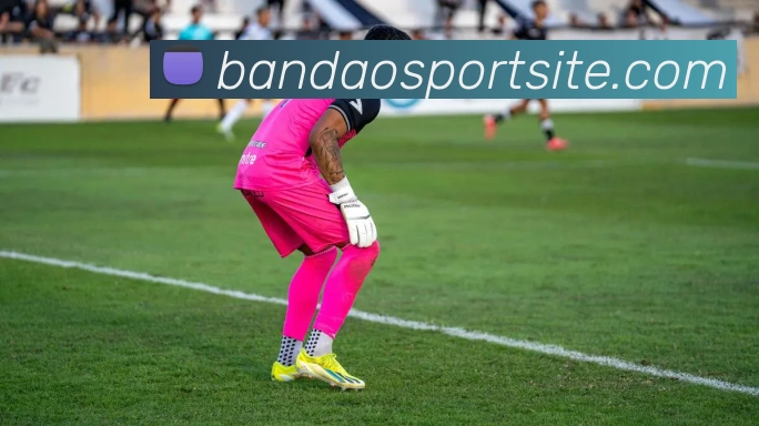 半岛体育平台生态图