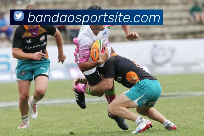 数据防护可视化